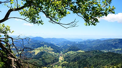 Blick vom Belchen in Richtung Schweiz