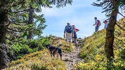 Herrliche Wandergebiete